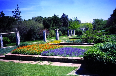 View of the ornamental plants section