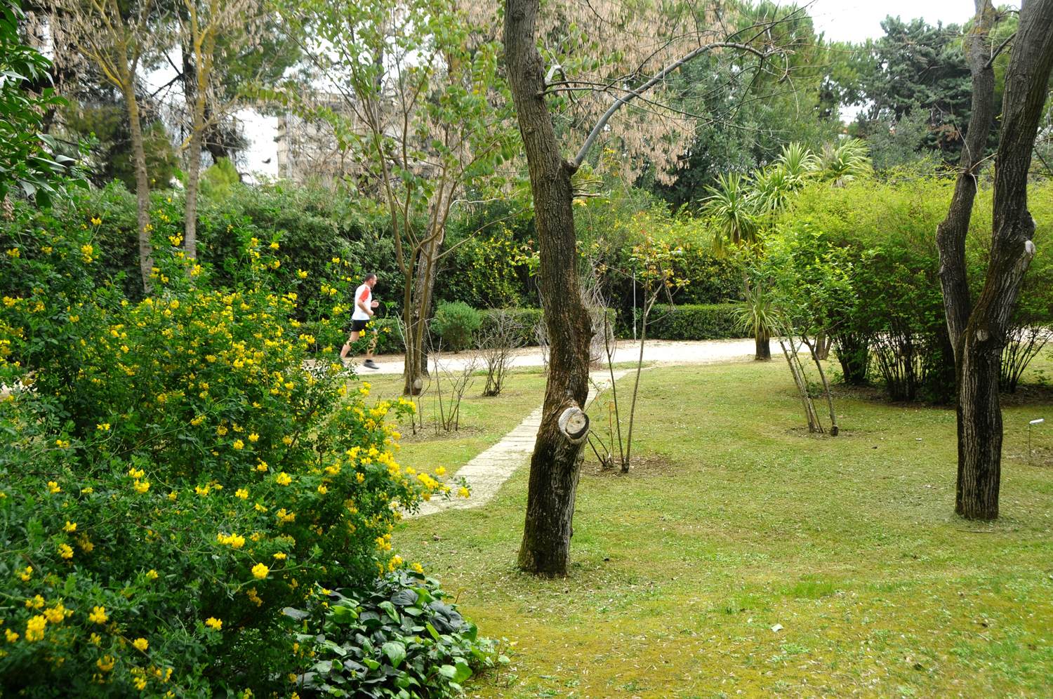 garden 3