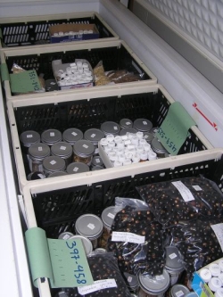 Seed bank